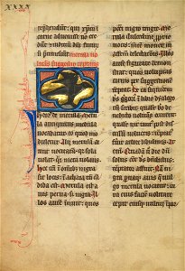 A Blackbird - Google Art Project