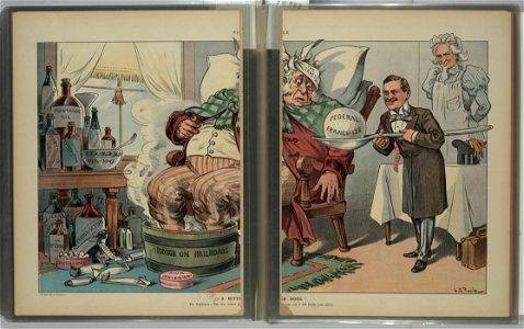 A bitter dose - J.S. Pughe. LCCN2011645622