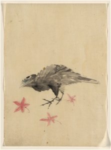A bird, possibly crow or raven, facing left, standing among leaves with head cocked as though looking closely or listening LCCN2009631943