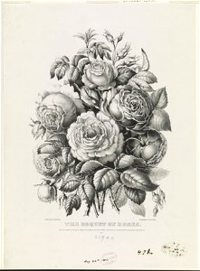 A Boquet of roses LCCN90712002