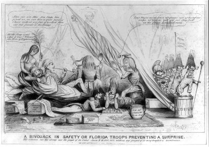 A bivouack in safety or Florida troops preventing a surprise LCCN2008661353