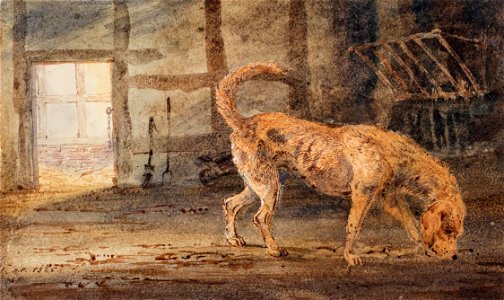 A brindled hound - Newton Smith Limbird Fielding - Fielding-K07756