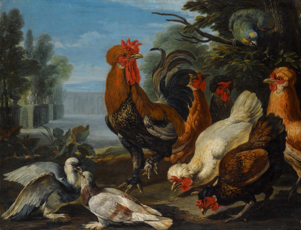A Cockerel, Hens, Doves and a Parrot by David de Coninck