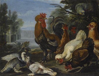 A Cockerel, Hens, Doves and a Parrot by David de Coninck