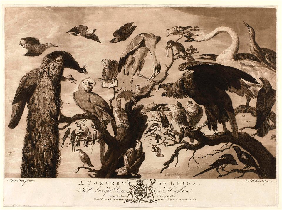 A Concert of Birds
