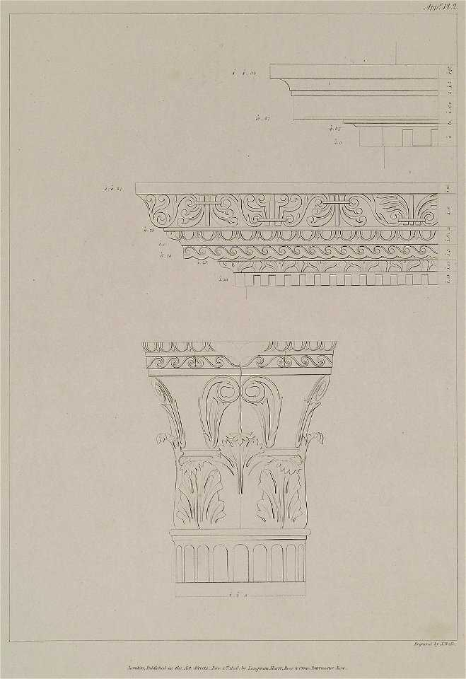A Corinthian capital of white marble, found at Citta-Vecchia, in the island of Malta - Wilkins William - 1807