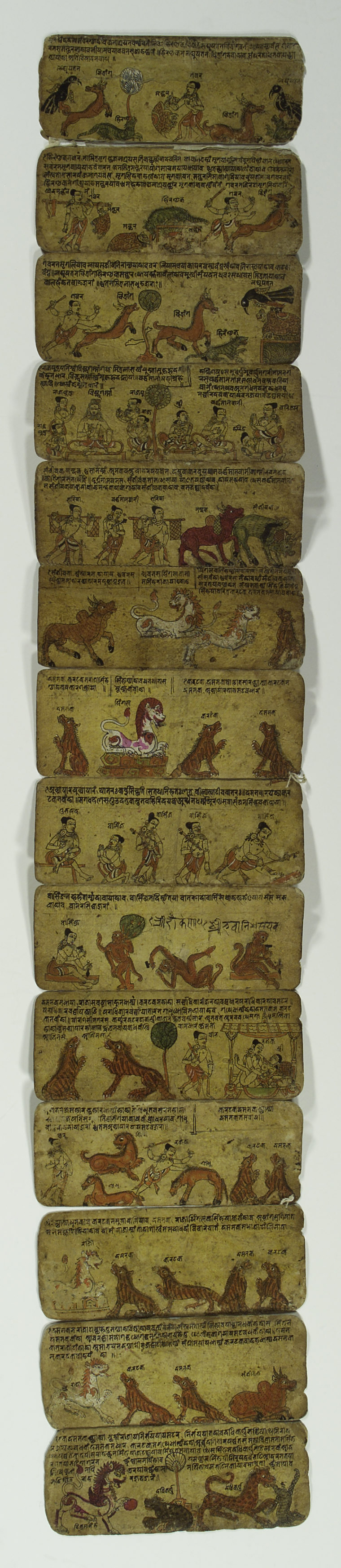 A concertina manuscript, various animal pictures (6124501285)