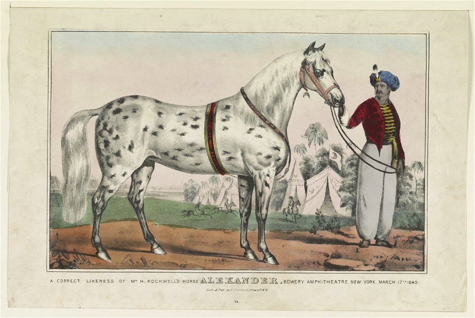 A correct likeness of Mr. H. Rockwell's horse Alexander- Bowery Amphitheatre, New York, March 17th 1840 LCCN91722834