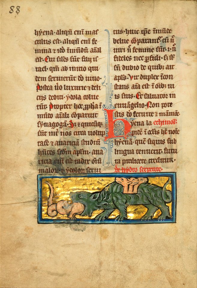 A Crocodile Devouring a Water Snake - Google Art Project