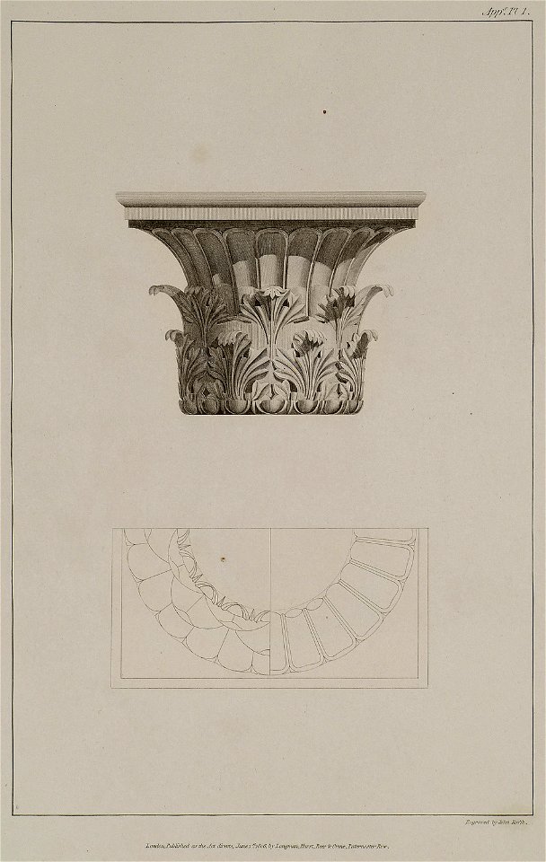 A Corinthian capital of white marble, found in the island of Milo - Wilkins William - 1807