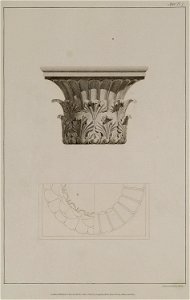 A Corinthian capital of white marble, found in the island of Milo - Wilkins William - 1807