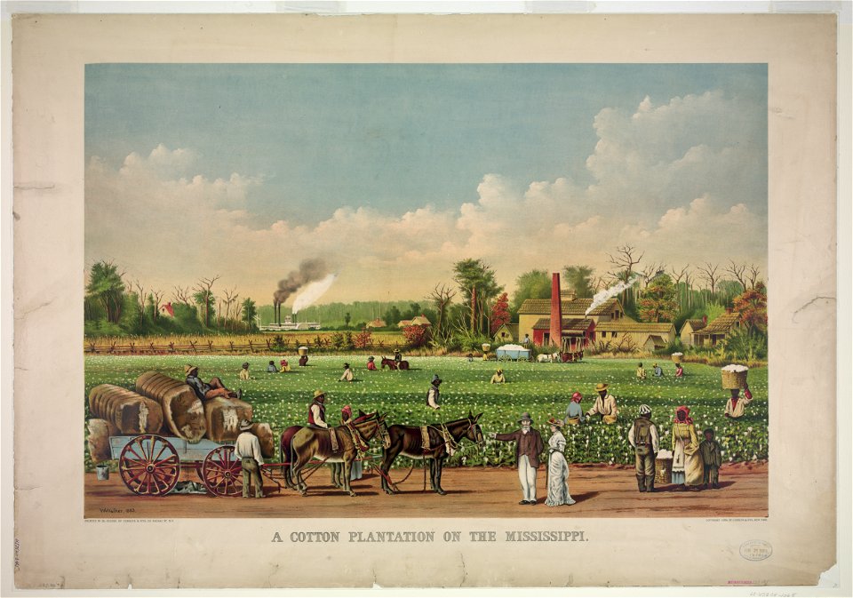 A cotton plantation on the Mississippi LCCN91722891