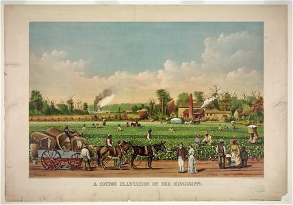 A cotton plantation on the Mississippi LCCN91722891