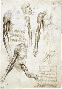 A Dead or Moribund Man in Bust Length