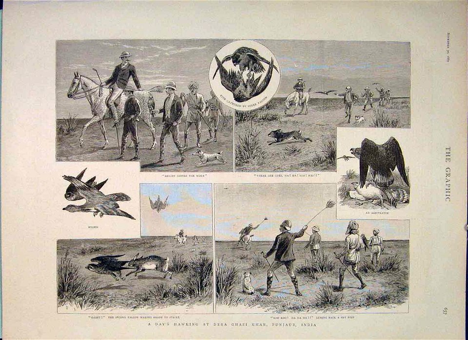 A Day's Hawking at Dera Ghazi Khan, Punjaub, 1889
