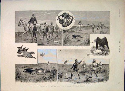 A Day's Hawking at Dera Ghazi Khan, Punjaub, 1889