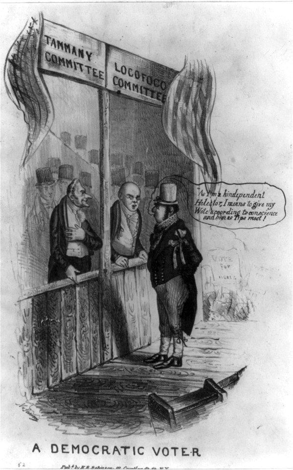 A Democratic voter LCCN2008661292
