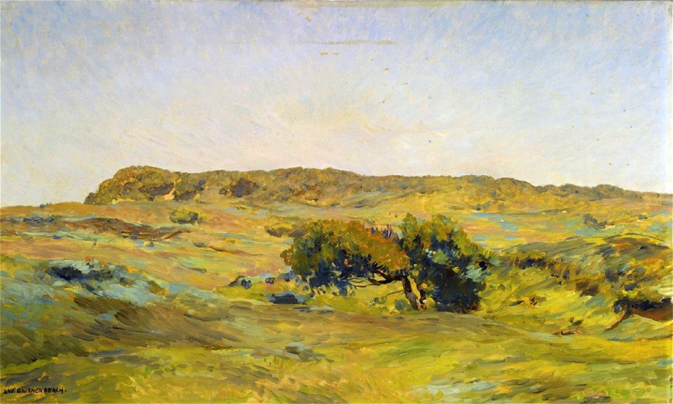 A dune landscape by Willem Wenckebach (1860-1937)