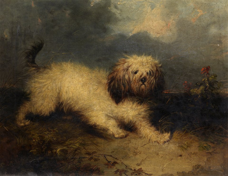 A Dog P6031