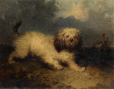 A Dog P6031