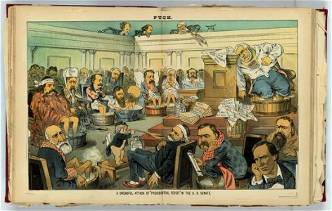 A dreadful attack of presidential fever in the U.S. Senate - F. Opper. LCCN2012645450