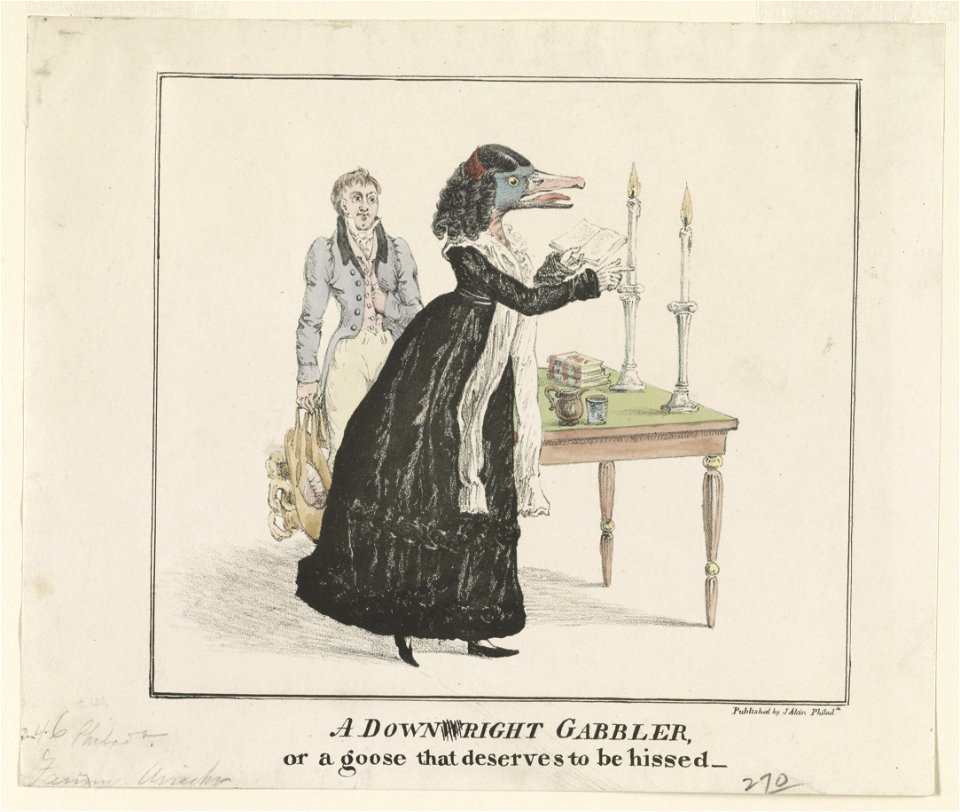 A downright gabbler, or a goose that deserves to be hissed - Published by J(ames) Akin Philada. LCCN2002708975
