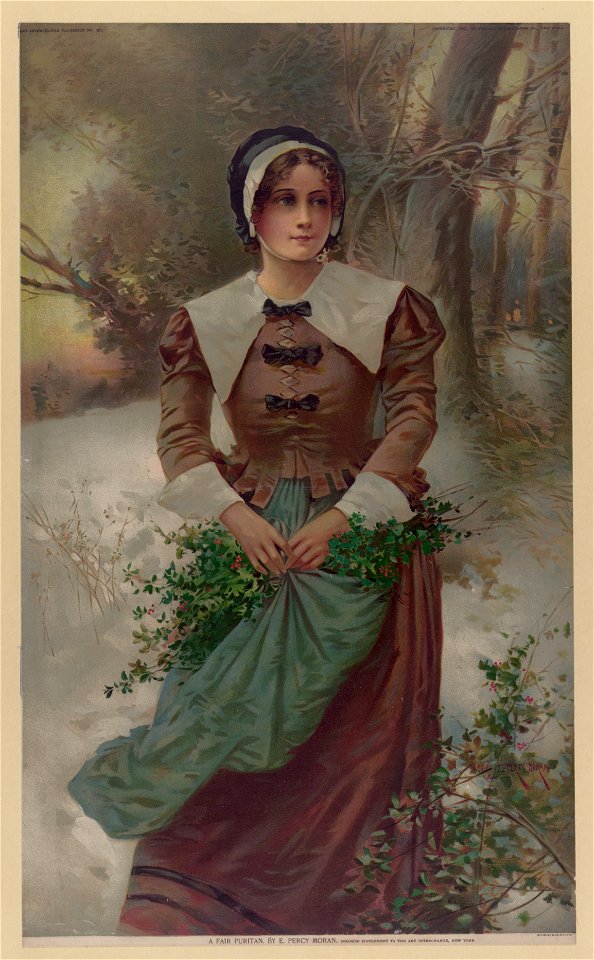 A fair Puritan - E. Percy Moran. LCCN96502459
