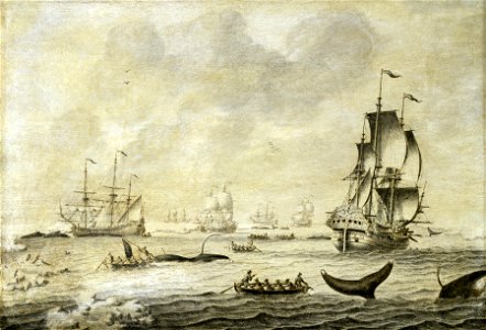 A Fleet of Whalers RMG BHC0954