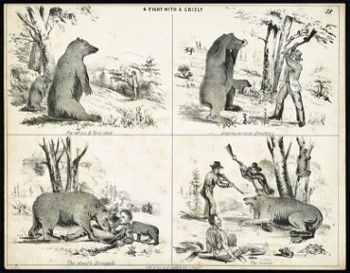 A fight with a grizly (i.e. grizzly) - Lith. & Pubd. by Britton & Rey, S. Franco. LCCN2011661683
