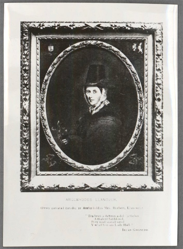 Arglwyddes Llanover (5236487)