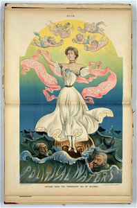Arising from the turbulent sea of politics - C.J. Taylor. LCCN2012647630
