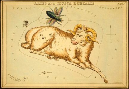 Aries and Musca Borealis1