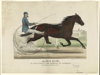 Arion- by Electioneer, dam Manette by Nutwood LCCN90708665