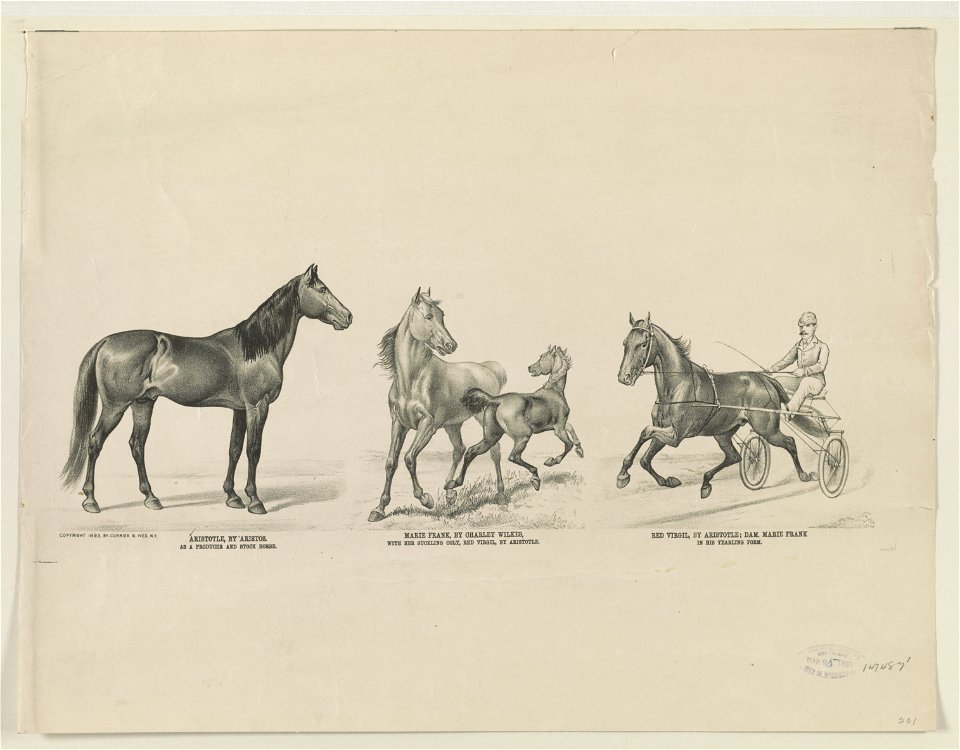 Aristotle, by Aristos- as a producer and stock horse Marie Frank, by Charley Wilkes- with her suckling colt, Red Virgil, by Aristotle Red Virgil, by Aristotle- dam, Marie Frank- in his LCCN90708787