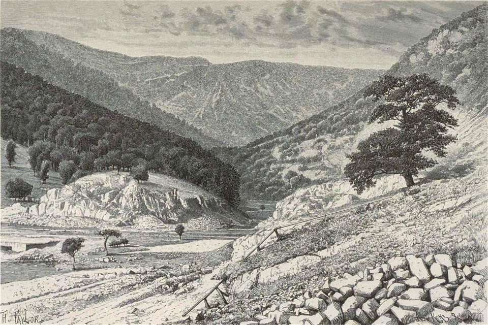 Armand Kohl40