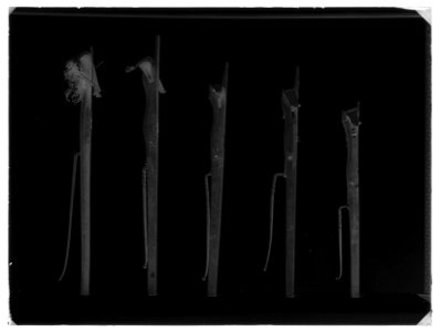 Armborst, 33768 (NOM 29692); E 15364 (NOM 29691) - Livrustkammaren - 17147-negative