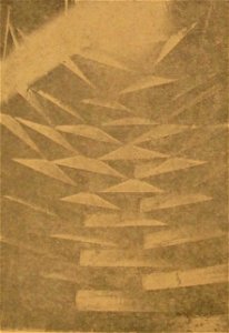 Armenian architecture, Toros Toramanian (page 48 crop)