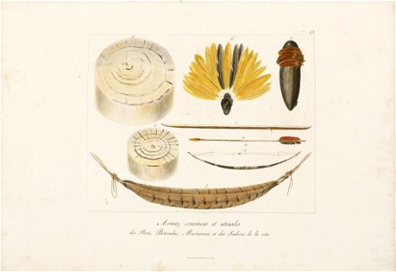 Armes, ornemens et utensiles des Puris, Botocudes, Machacaris et des Indiens de la côte, da Coleção Brasiliana Iconográfica