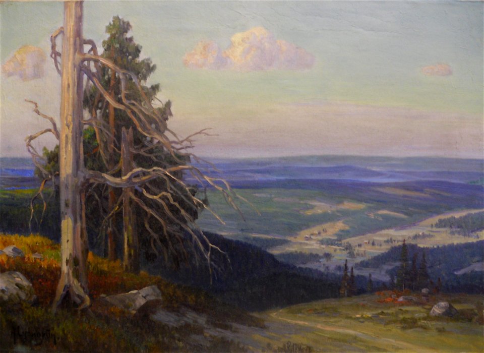 Arnold Lyongrün Blick vom Feldberg im Schwarzwald, 1910