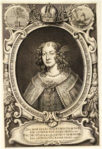 Arolsen Klebeband 01 045