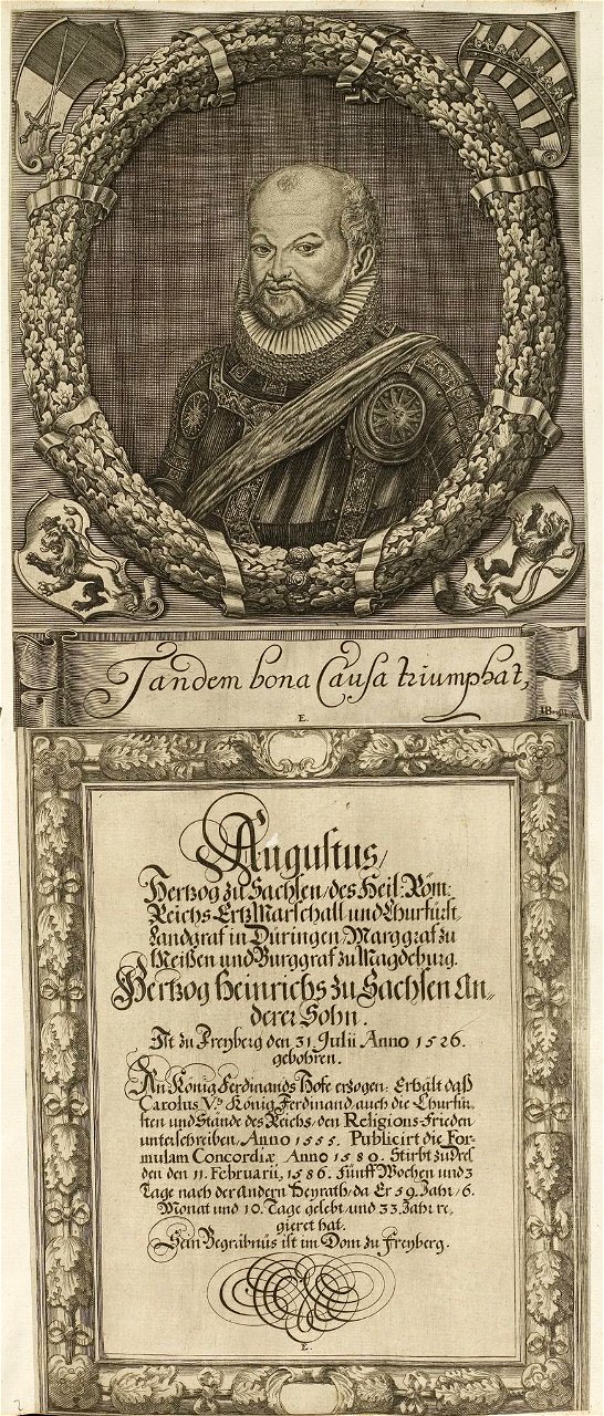 Arolsen Klebeband 01 135