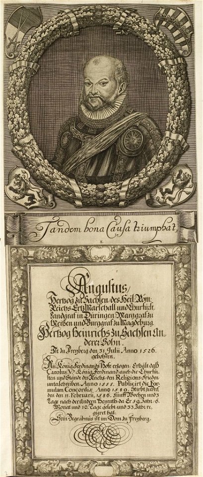 Arolsen Klebeband 01 135