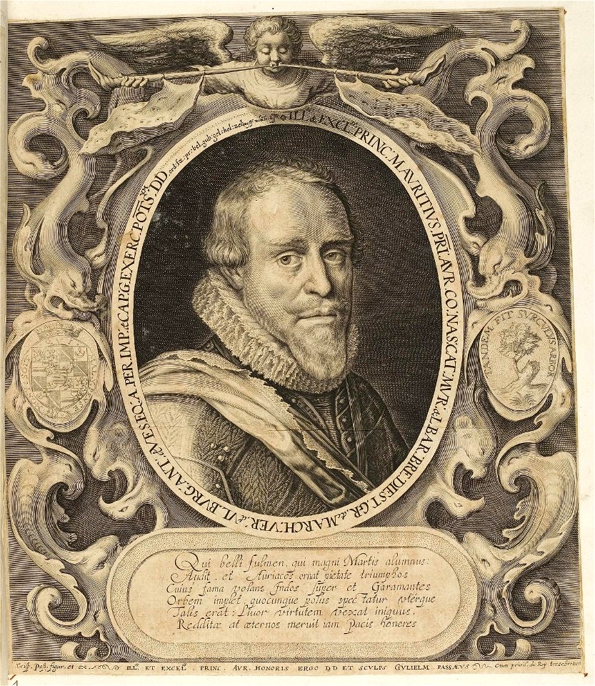 Arolsen Klebeband 01 349