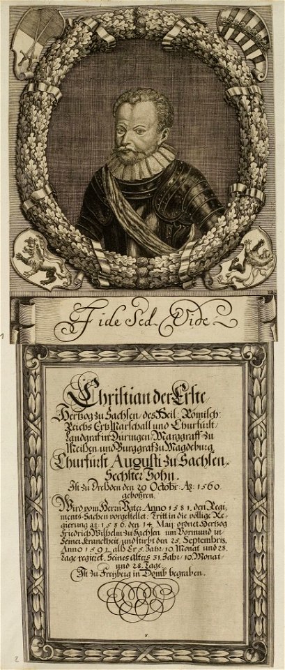 Arolsen Klebeband 01 137
