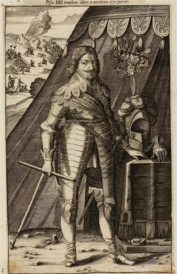 Arolsen Klebeband 01 187 2