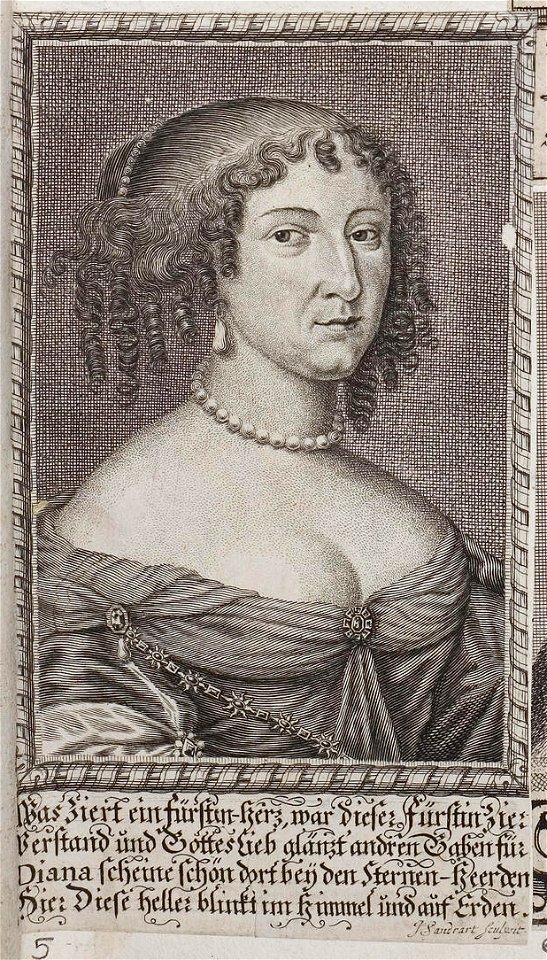 Arolsen Klebeband 02 003 5
