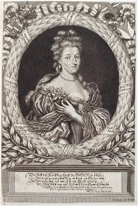 Arolsen Klebeband 02 453