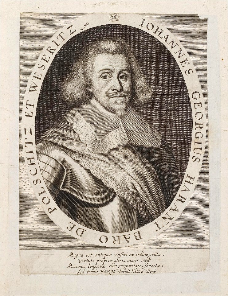 Arolsen Klebeband 02 373
