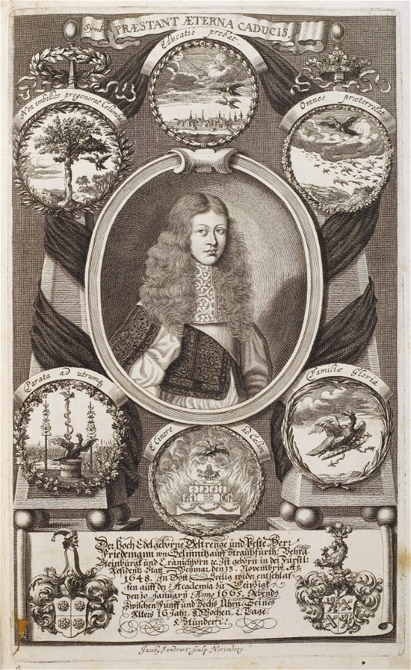 Arolsen Klebeband 02 465