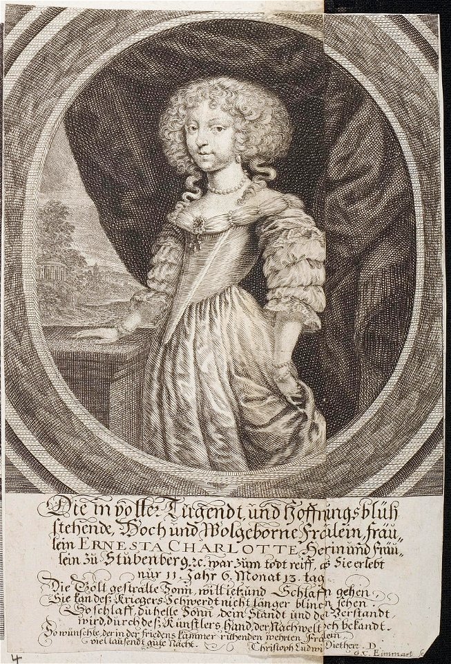 Arolsen Klebeband 02 431 4